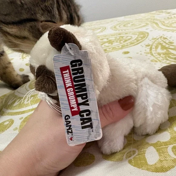 Grumpy Cat Plush Toy Set - Picture 2 of 3